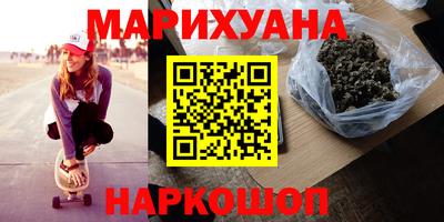 бошки Кингисепп