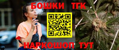 бошки Кингисепп