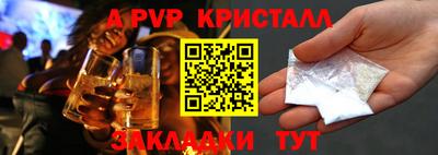 бошки Кингисепп
